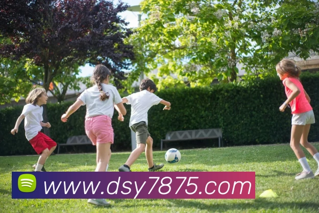 大三元官网平台登录平台生态图