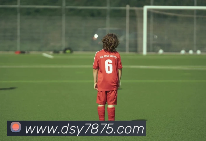 大三元官网平台登录全站App